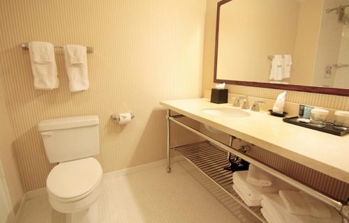 crowne_plaza_detroit_convention_center_bathroom